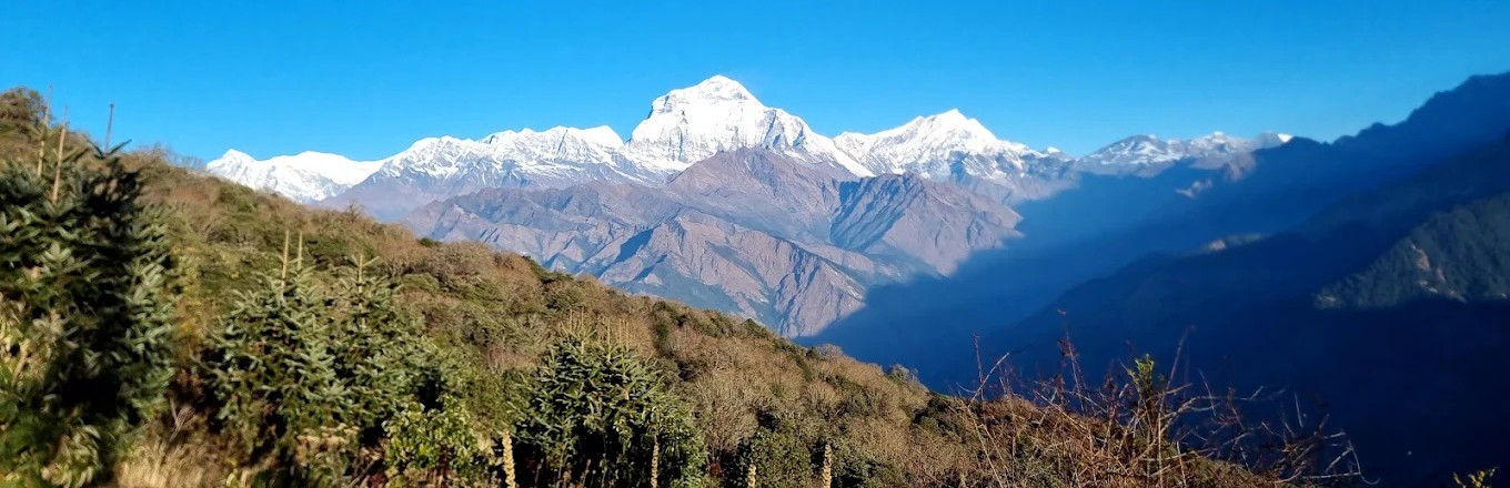 Ghorepani Poonhill Trek - Gateway Adventure Treks and Expedition